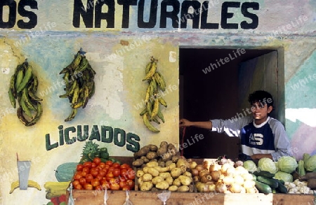 a Market in the city of Tela near San Pedro Sula on the caribian sea in Honduras in Central America,