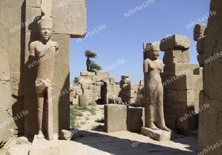 scenery around Precinct of Amun-Re in Egypt with stone remains and various statues in sunny ambiance