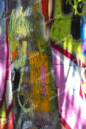Graffiti am Baum