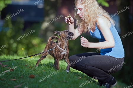 Junge Frau, auf Rasen knieend, mit neugierigem Mischlingswelpen