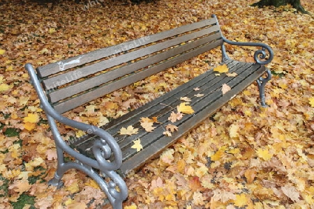 Herbstliche Parkbank