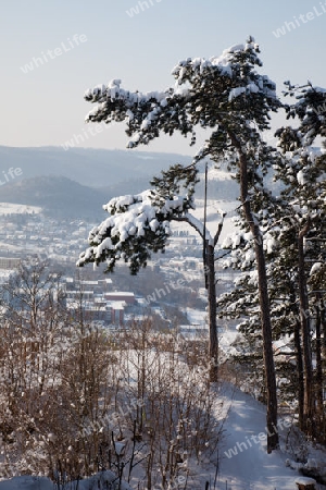 winterlicher Ausblick auf Jena