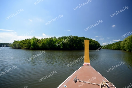 The mangroves at a lagoon near the City of Krabi on the Andaman Sea in the south of Thailand. 