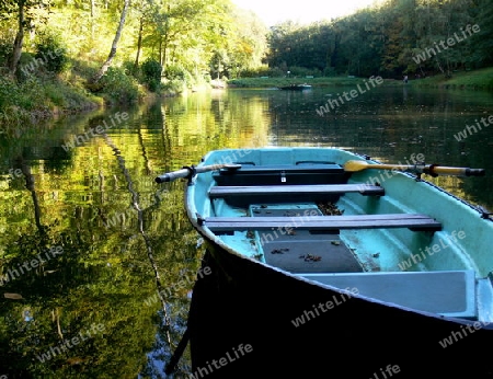 Ruhiger Waldsee mit blauem Ruderboot  2