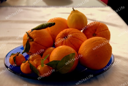 Die Orangen