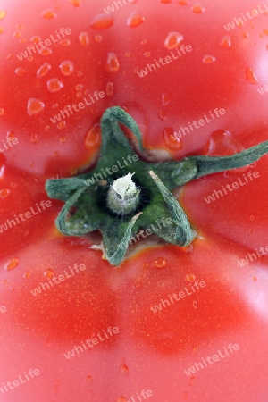 Fresh tomato closeup