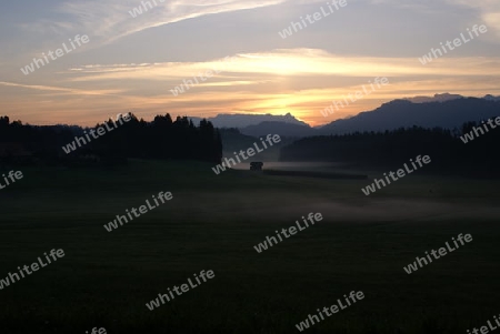 Nebel Morgenlandschaft