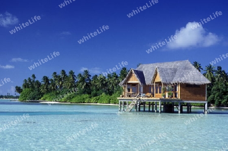 Ein Traumstrand auf einer Insel der Malediven im Indischen Ozean.