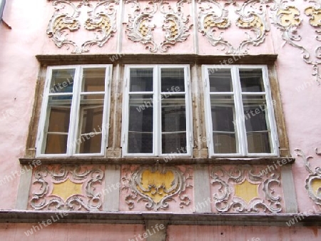 rosa Fensterfront