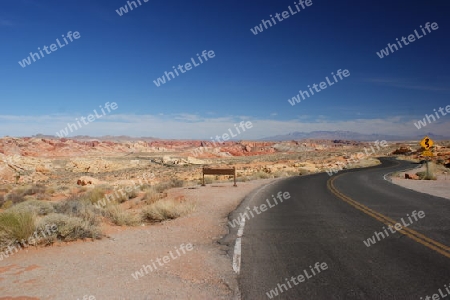 Road @ Valley of Fire