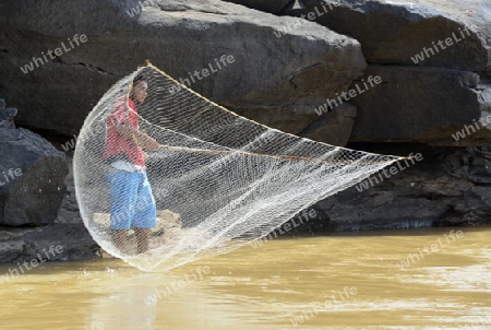 Ein Fischer in der Steinlandschaft im Mekong River des Naturpark Sam Phan Bok bei Lakhon Pheng am Mekong River in der Provinz Amnat Charoen nordwestlich von Ubon Ratchathani im nordosten von Thailand in Suedostasien.