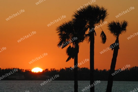 Sonnenuntergang in Florida