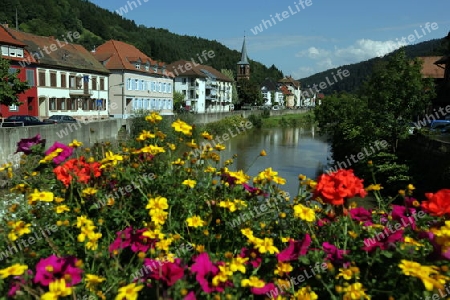  the old town of the villige Wolfach in the Blackforest in the south of Germany in Europe.