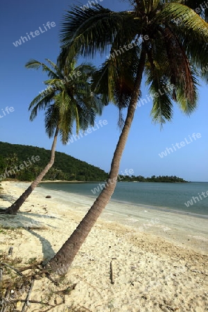 Ein Strand bei Chumphon an der Schiffsstation fuer die weiterfahrt zur Insel To Tao im Golf von Thailand im Suedwesten von Thailand in Suedostasien. 