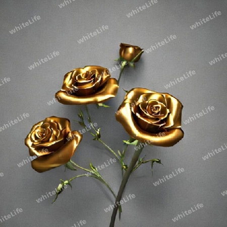 goldene Rosen