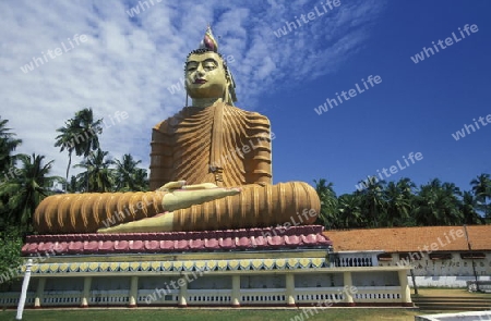 Asien, Indischer Ozean, Sri Lanka,Ein tGoldiger Buddha beim Kuestendorf Matara an der Suedkueste von Sri Lanka. (URS FLUEELER)