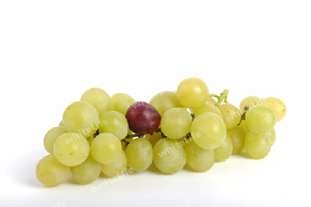 eine rote unter weissen Weintrauben, Genweintrauben, Symbolbild,  genmanipulierte Lebensmittel