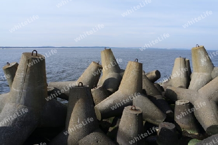 Tetrapoden an der Ostsee