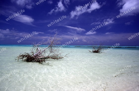 
Der Strand  auf der Insel Helengeli im Northmale  Atoll auf den Inseln der Malediven im Indischen Ozean.