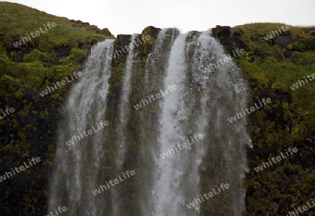 Der S?den Islands, der malerische Wasserfall Seljalandsfoss st?rzt hier bis zu 66m tief ?ber die Flu?kante des Seljalands?