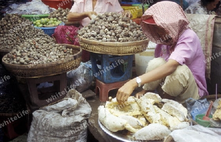 the market in the city of phnom penh in cambodia in southeastasia. 