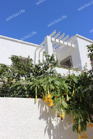 Haus mit Garten in Tunesien