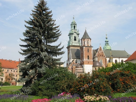 Krakow, Wawel im Sommer