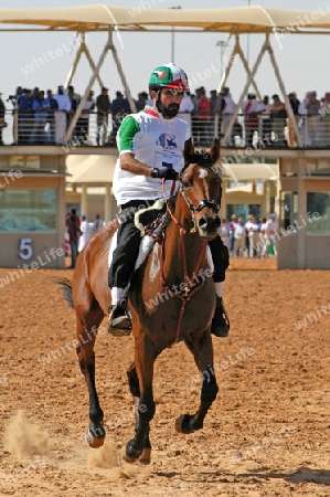 UAE Sheikh Mohammed bin Rashid Al Maktoum (UAE)
