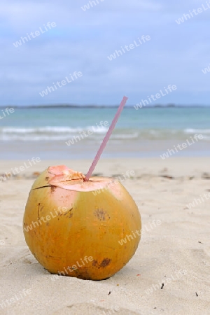 Kokosnuss mit Trinkhalm steht an einem tropischen Strand