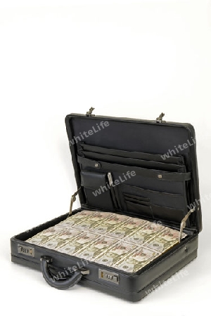 Koffer voller 50 Dollarscheine, Geldkoffer