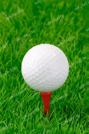Weisser Golfball im Detail auf gr?enem Hintergrund