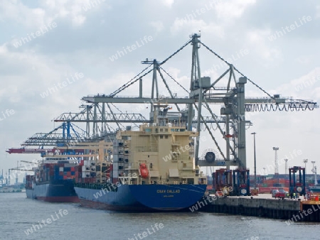 Containerverlad im Hamburger Hafen