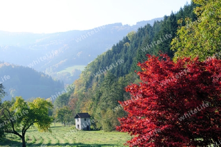 Herbstlandschaft im Schwarzwald