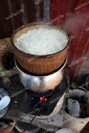 Klebreis oder Lao Reis wird gekocht in einem Dorf in der Provinzhauptstadt Amnat Charoen in der Provinz Amnat Charoen im Isan im Nordosten von Thailand. 