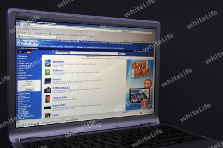 Website, Internetseite, Internetauftritt des Preisvergleichsportals Geizhals.de  auf Bildschirm von Sony Vaio  Notebook, Laptop