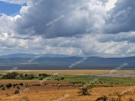 Tansania - Im Ngorongro Krater