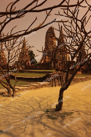 Der Wat Chai Wattanaram Tempel in der Tempelstadt Ayutthaya noerdlich von Bangkok in Thailand. 
