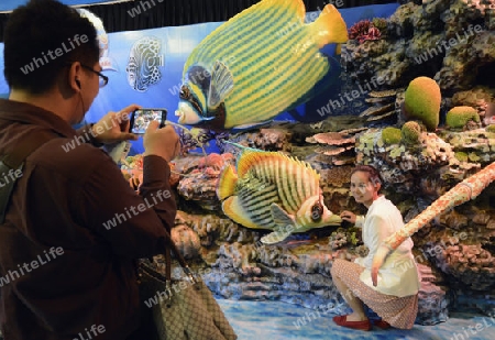 Das Siam Ocean World Aquarium in der Hauptstadt Bangkok von Thailand in Suedostasien.