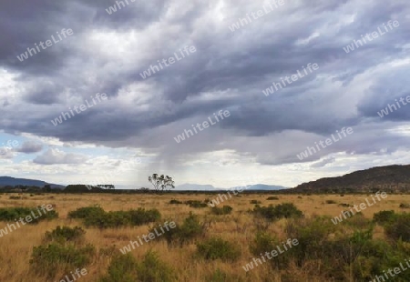 Kenia - im Samburu Nationalpark