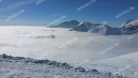Nebelmeer im Winter