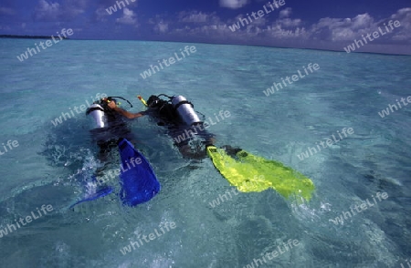 Ein Taucher an einem Traumstrand auf einer Touristen Insel auf dem Malediven im Indischen Ozean.