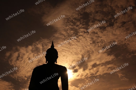 Eine Buddha Figur  im Wat Mahathat Tempel in der Tempelanlage von Alt-Sukhothai in der Provinz Sukhothai im Norden von Thailand in Suedostasien.