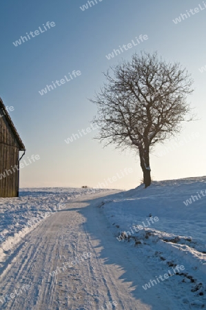 winterliche Szene mit Heuschober un Baum
