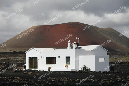 a House in the landscape of volcanic Hills on the Island of Lanzarote on the Canary Islands of Spain in the Atlantic Ocean.

