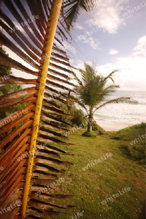 Suedamerika, Karibik, Venezuela, Isla Margarita, El Cardon, Ein Strand bei El Cardon an der Ostkueste an der Karibik auf der Isla Margarita