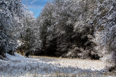 Winterliche Landschaft bin der Innau bei Alzgern