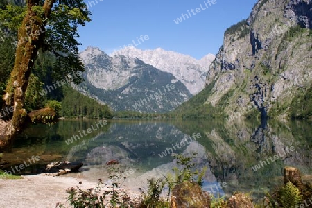 Obersee mit Watzmann-Ostwand