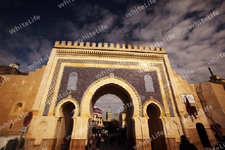 The blue Gate at the Bab Bou Jeloud in the old City in the historical Town of Fes in Morocco in north Africa.