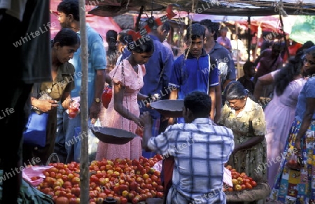 Asien, Indischer Ozean, Sri Lanka,
Ein traditioneller Markt im Kuestendorf Hikkaduwa an der Suedwestkueste von Sri Lanka. (URS FLUEELER)






