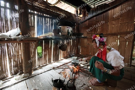 Eine Traditionell gekleidete Langhals Frau eines Paudang Stammes aus Burma lebt in einem Dorf noerdlich von Chiang Mai in Nord Thailand.  